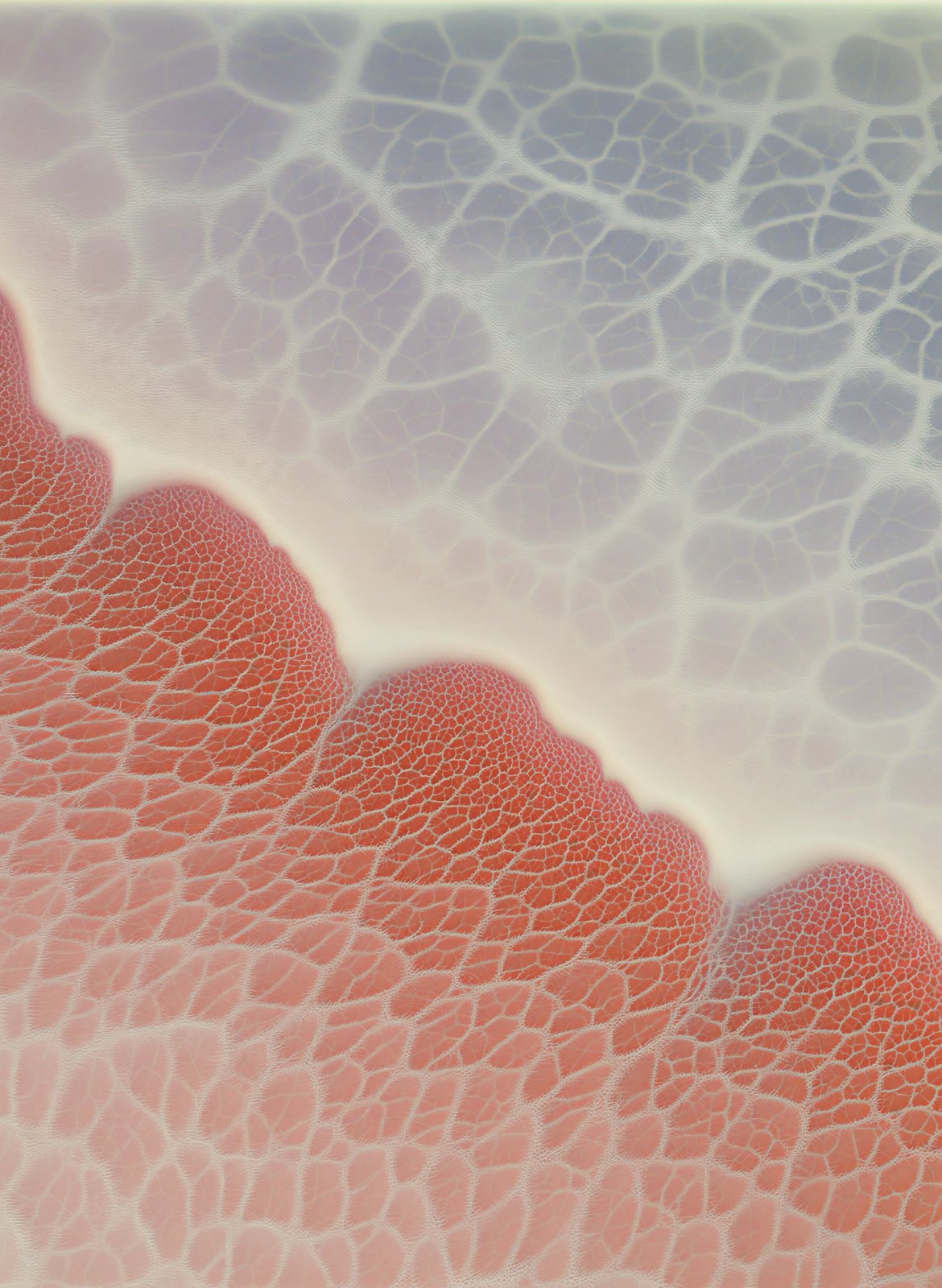 Abstract biological image